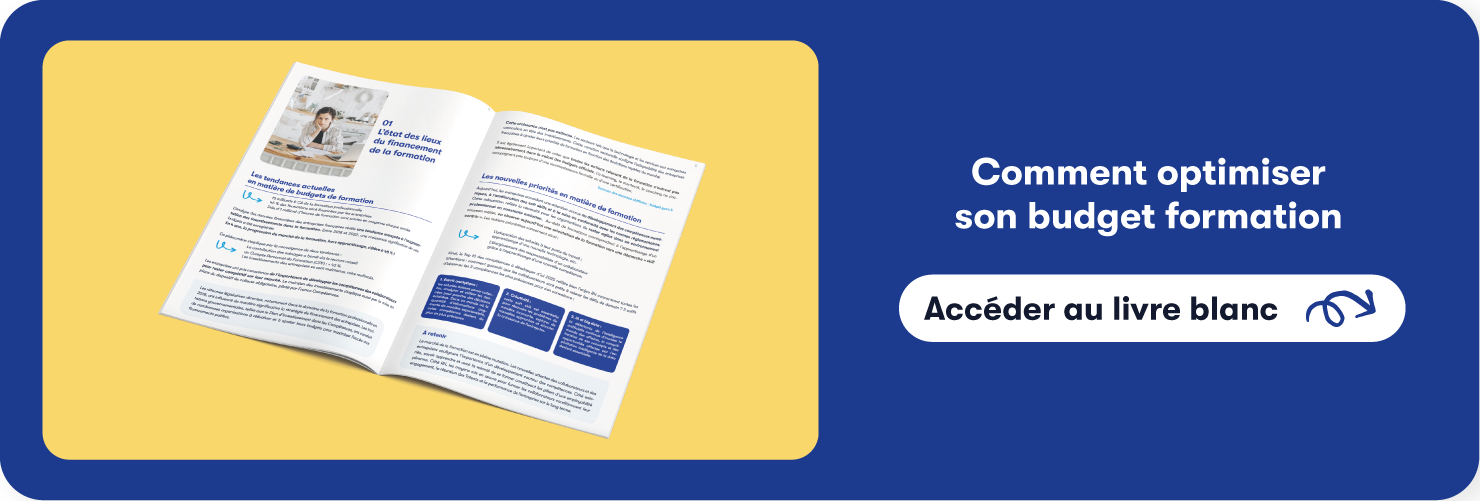 Ebook optimiser son budget de formation