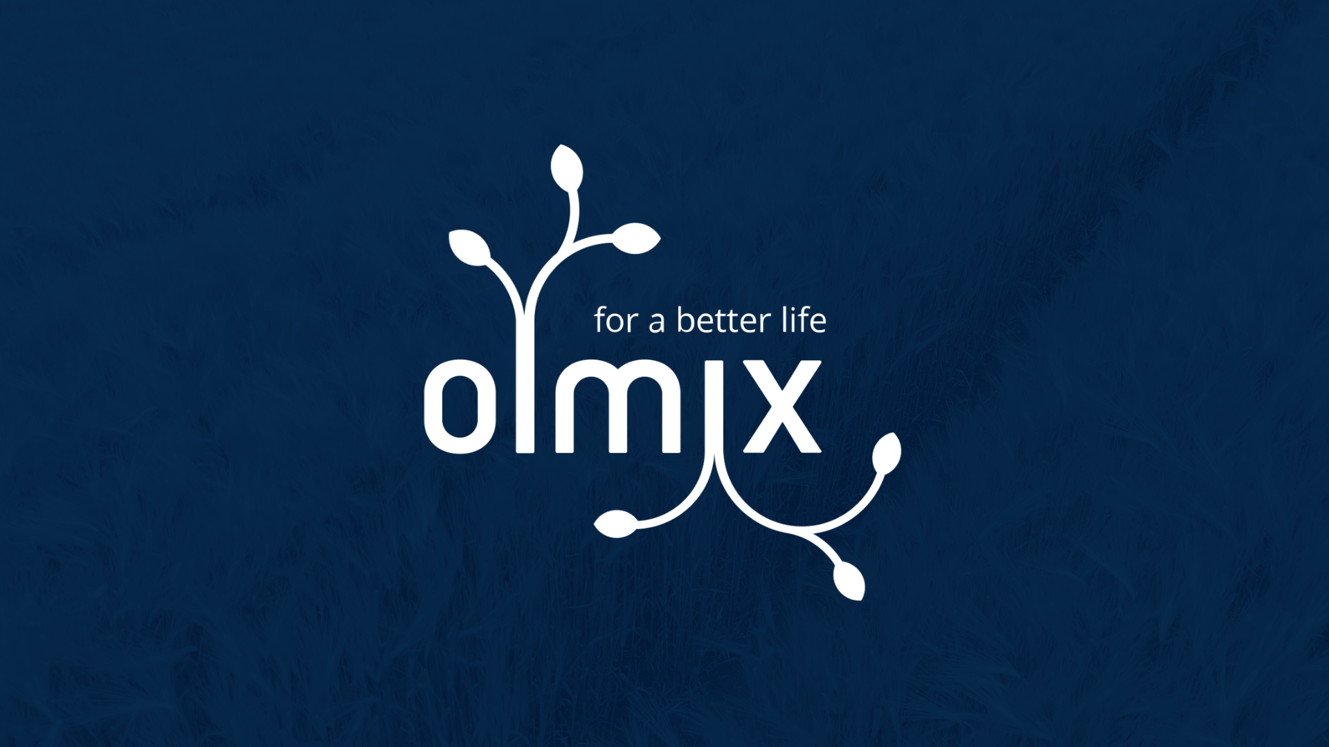 Comment Olmix harmonise ses processus RH à l’échelle internationale ?